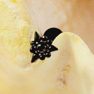 16G black ball spike stainless steel cartilage monroe internally threaded 8mm